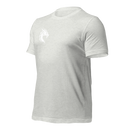 Tee-shirt gris dragon